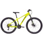 Bicicleta de Montaña