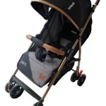 Carriola Infanti Park Gris