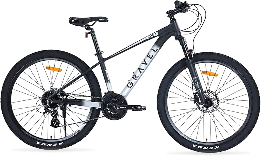 Gravel Andes 29 S
